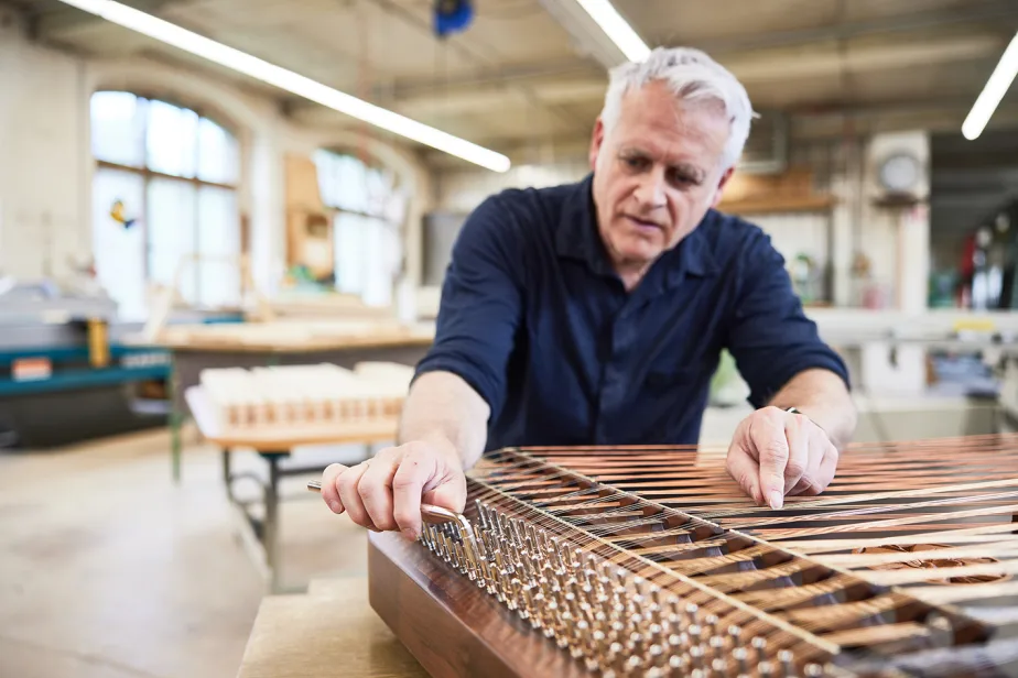 Referenz Alder Hackbrett 05