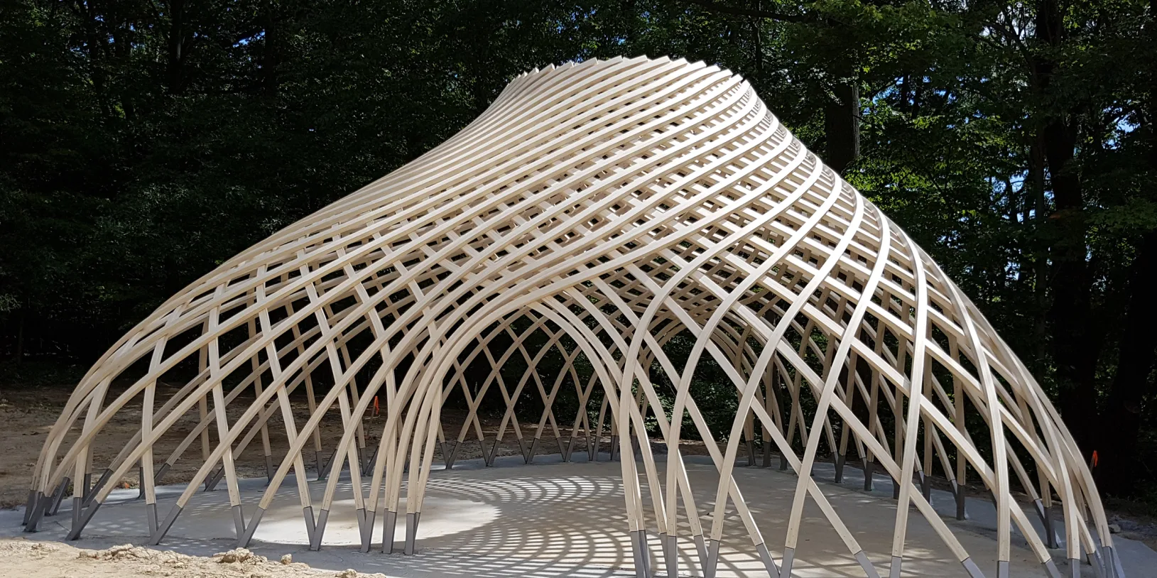 Referenz Accoya 00