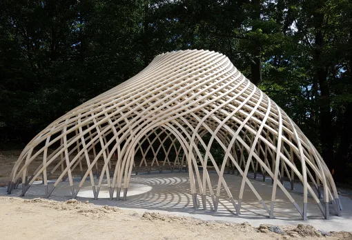 Referenz Accoya 00