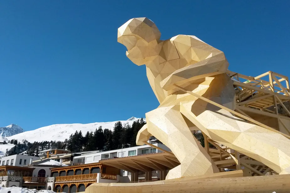 Referenz Skirennfahrer Edy 09